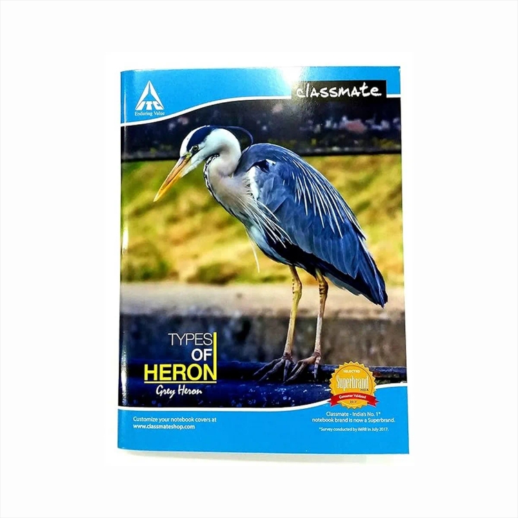 Classmate Maths S-C Note Book Square-1cm-172p2001008