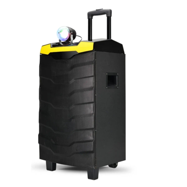 Impex TS-1101 100W Multimedia Portable Trolley Speaker With DJ LED Light Function (Black)