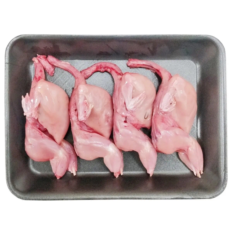 Quail (Kada) 1 Pc