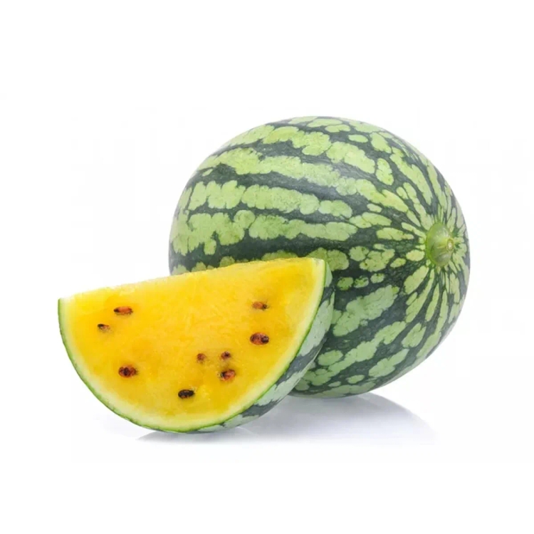 Watermelon Mithila Approx. 2.5Kg-3.5Kg