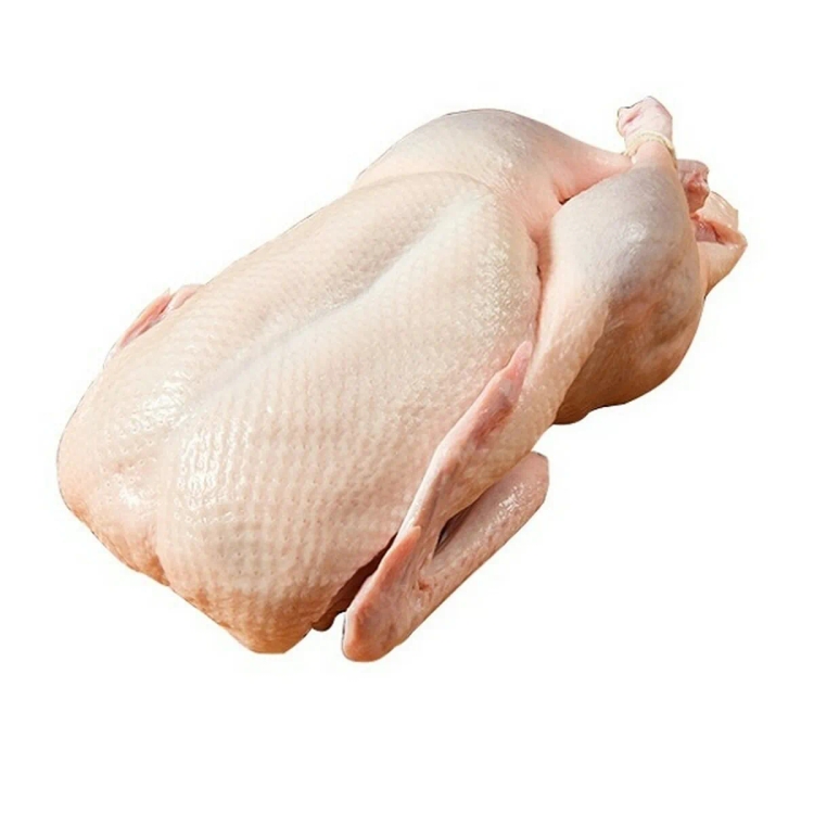 Broiler Duck Approx.1.4Kg -1.8Kg