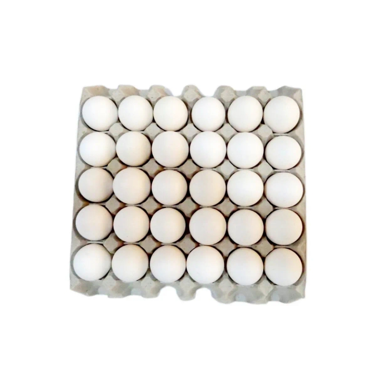 Lulu Koko Fresh Egg 30's