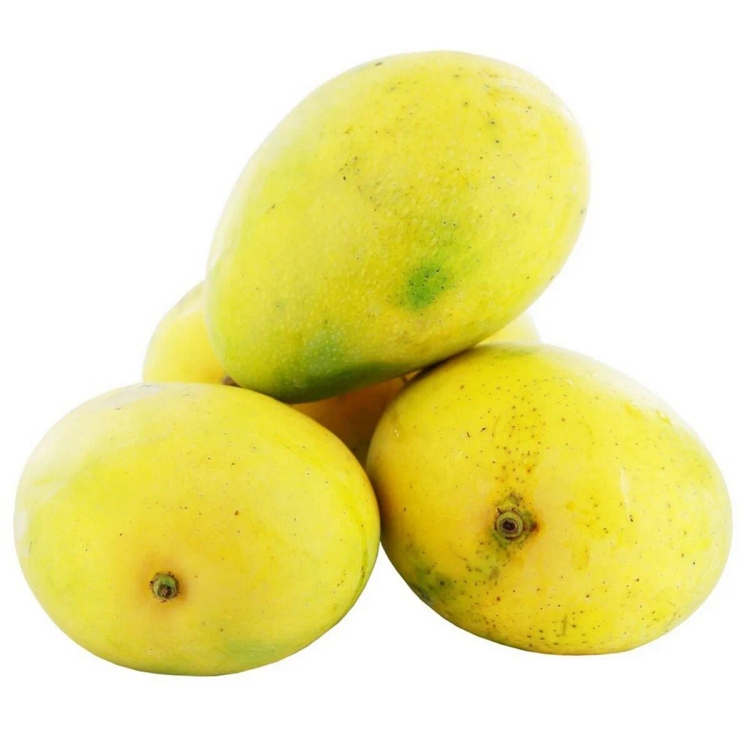 Mango Malgova Approx 900g-1kg