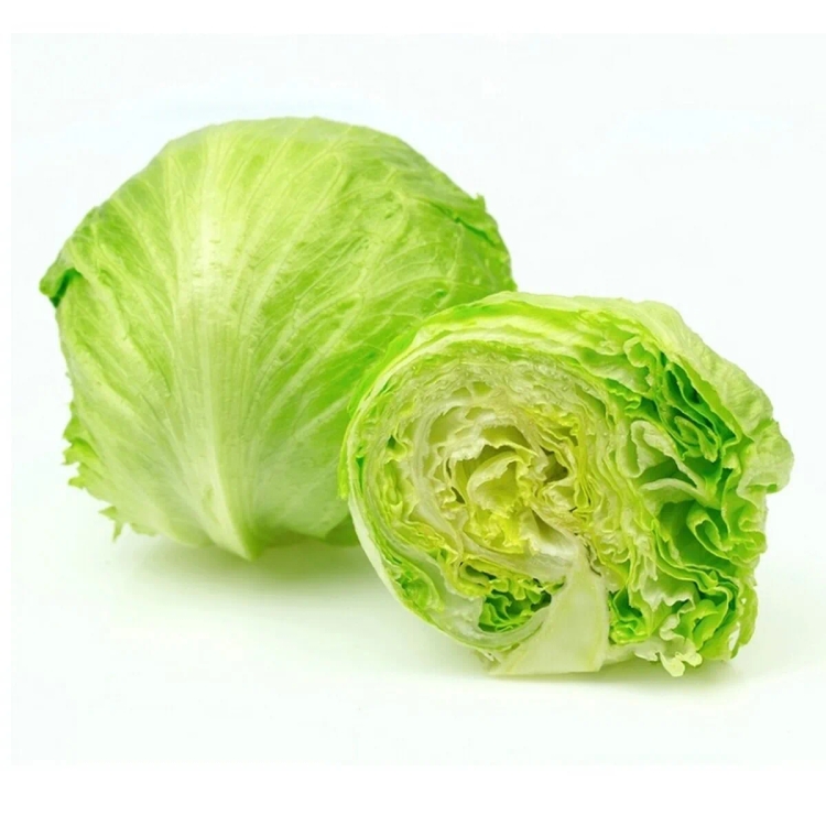 Lettuce Iceberg Approx. 250g