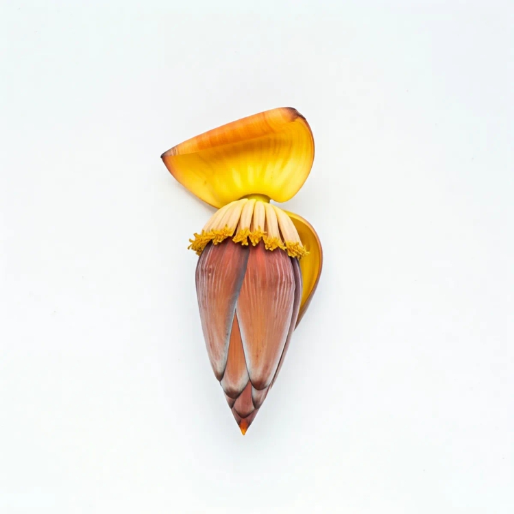 Banana Flower Approx 500g-600g