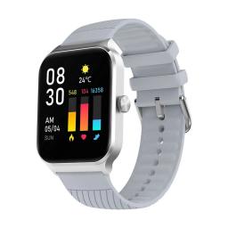 Noise Colorfit Canvas 1.96” TFT Display Smart Watch, Silver Grey