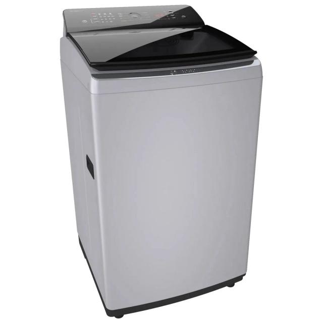 Bosch 8 kg Fully Automatic Top Load Washing Machine(WOE802S7IN)