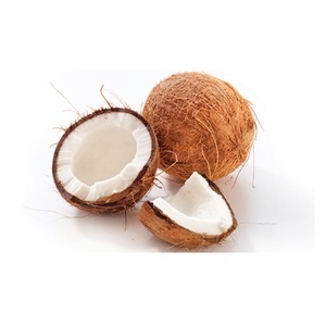 Coconut  1Pc