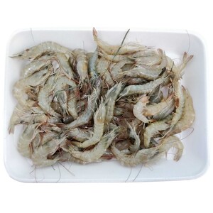 Shrimps (Thelli) Fish Approximate 1.05kg