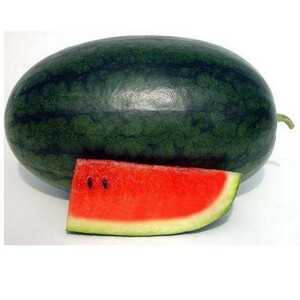 Watermelon kiran approx. 2.5kg -3kg
