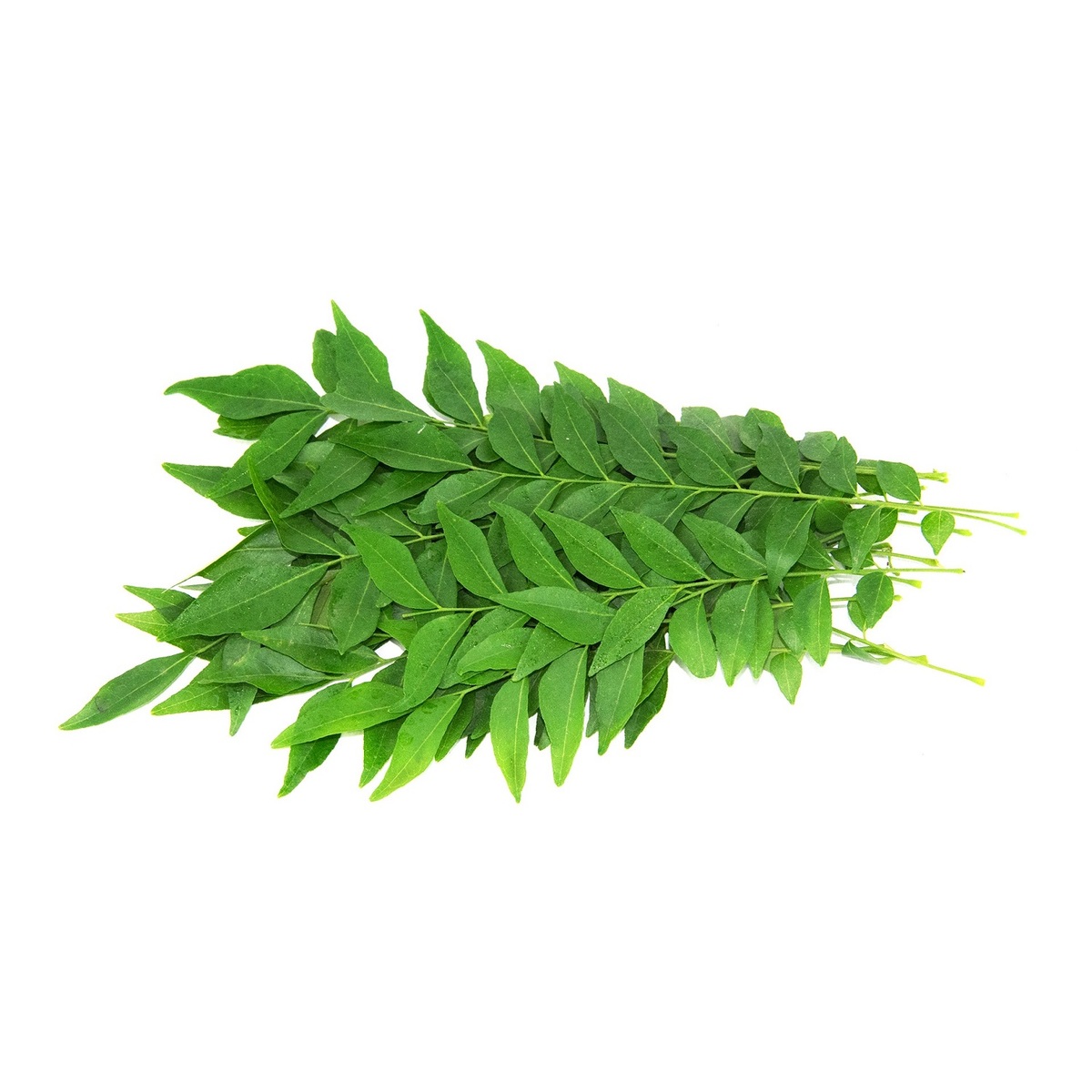 Fresh Curry Leaves 1Pc