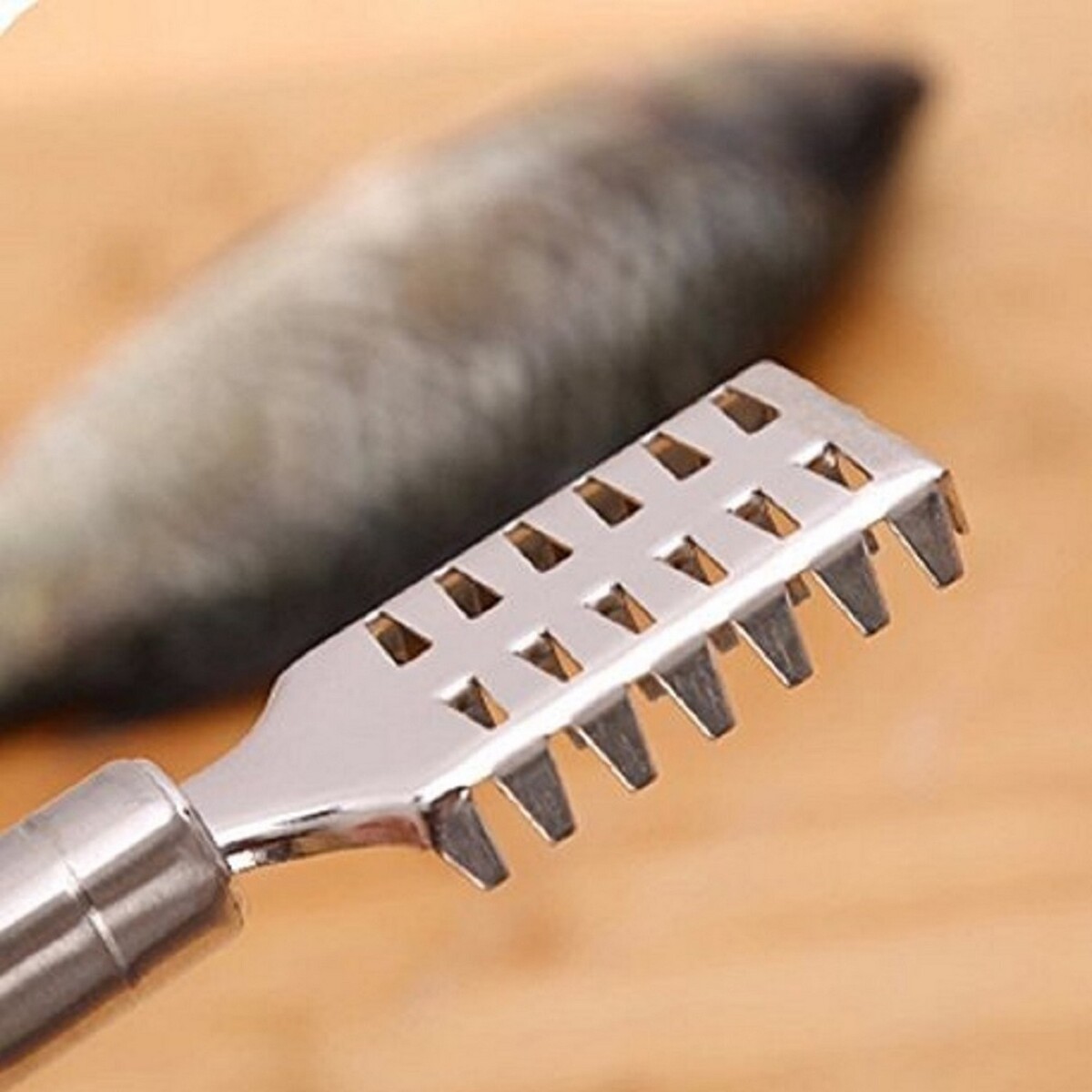 Home Fish Scaler 34985-36
