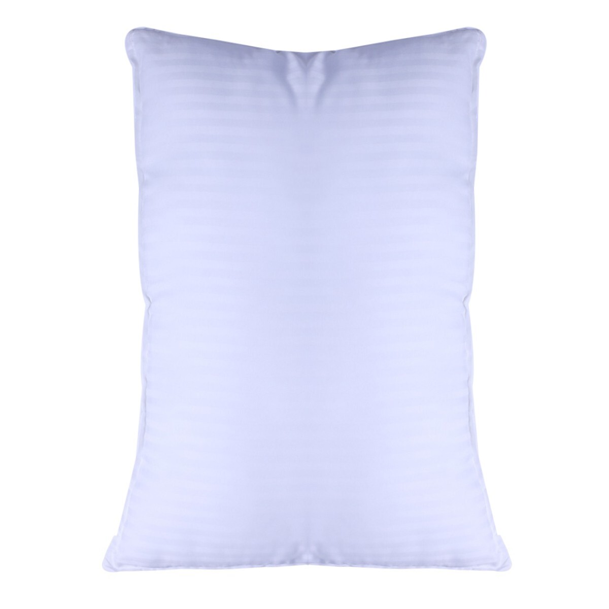 Homewell Pillow 17*27 650GM