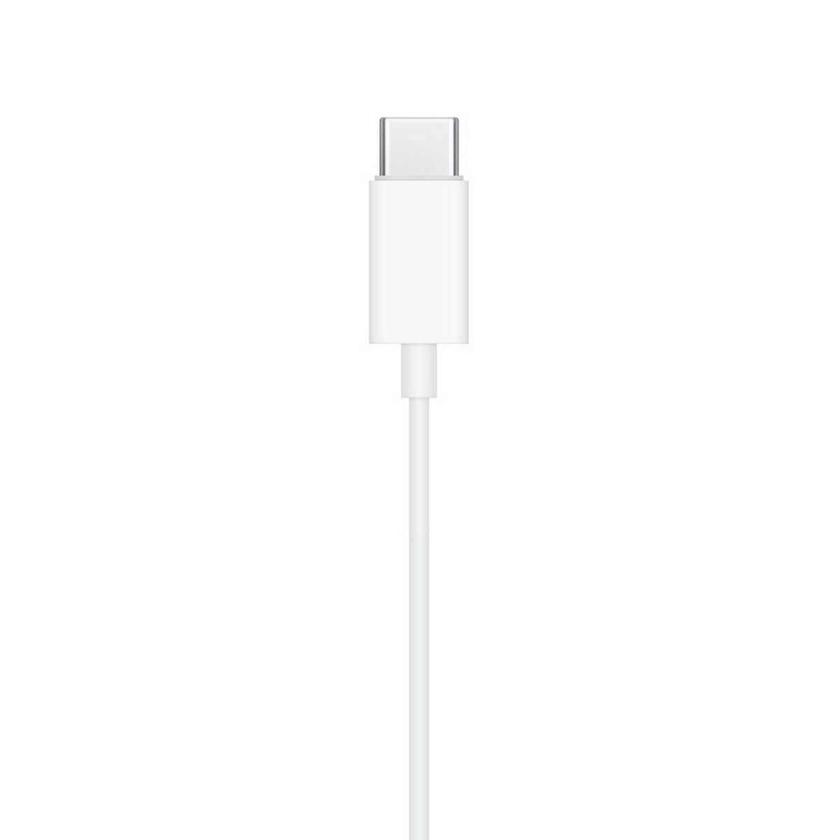 Apple Earpods with USB-C MTJY3