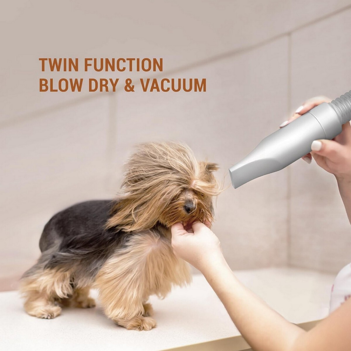 Eureka Forbes Vacuum Cleaner Buddy Pet Groom Kit