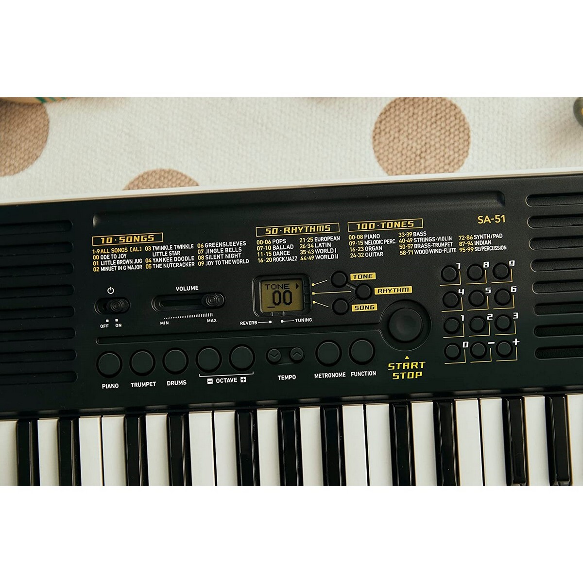 Casio Organ SA 51