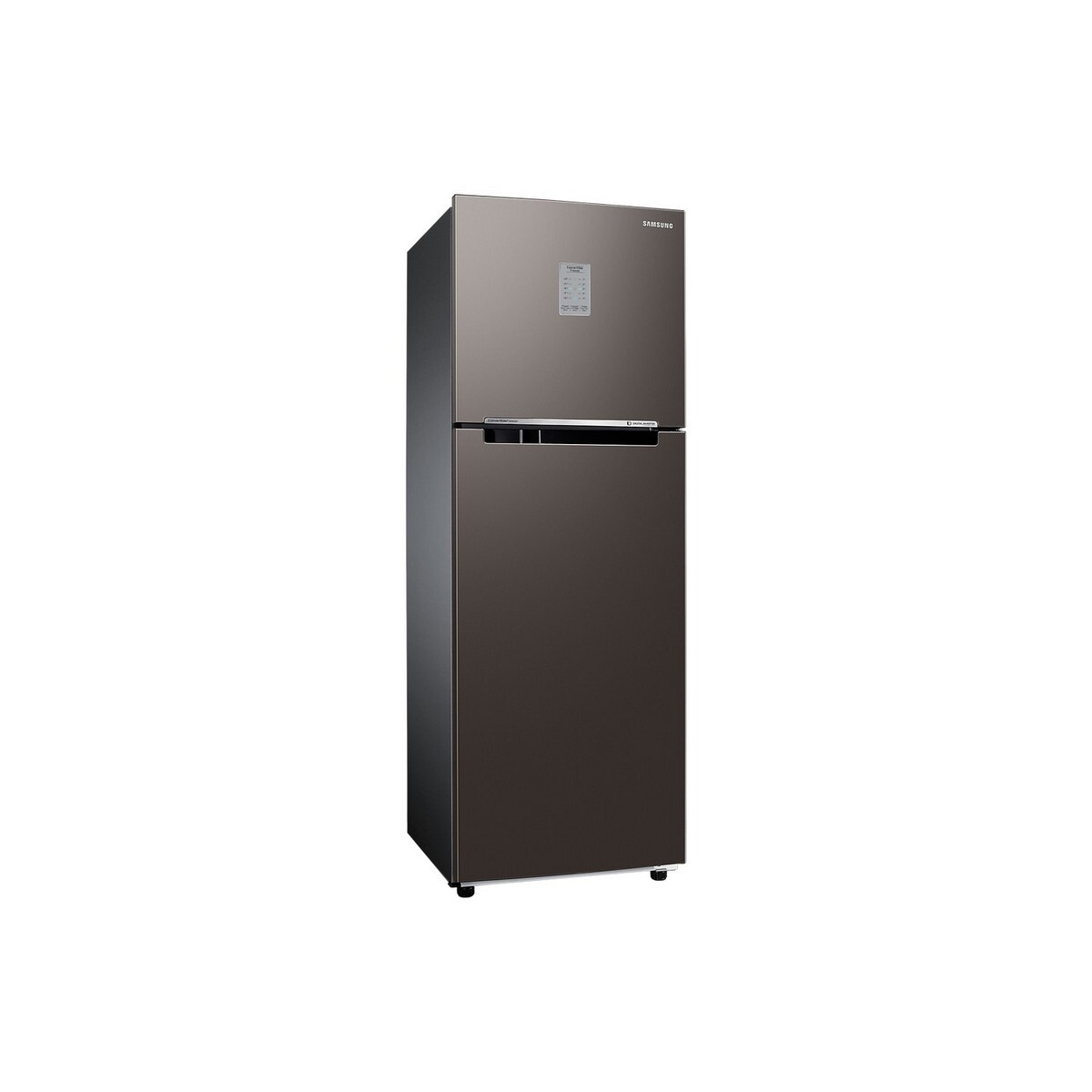 Samsung Bespoke Double Door Refrigerator RT30CB732C2 256L