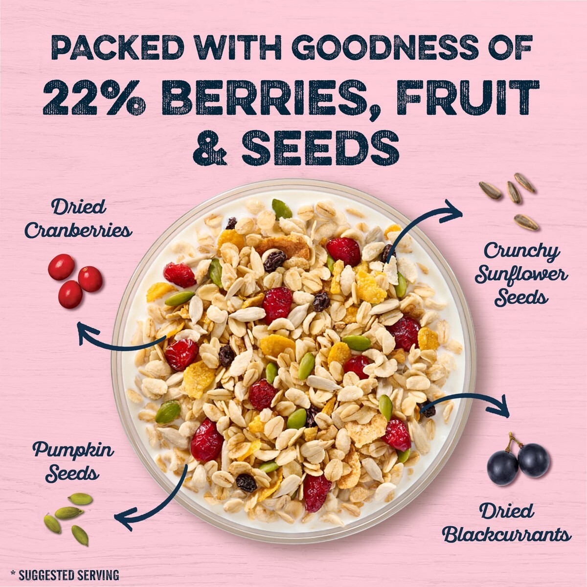 Quaker Seeds And Berries 700g