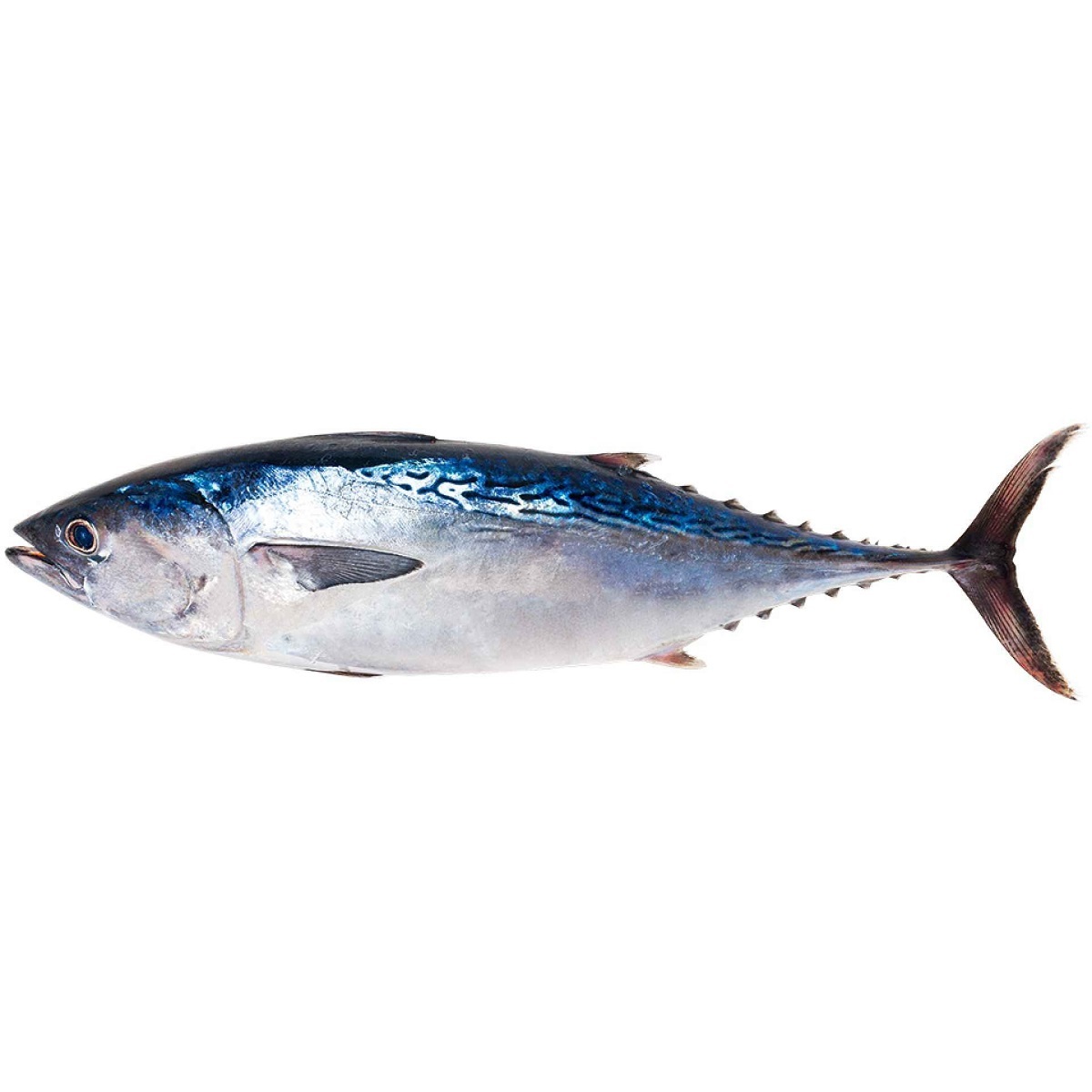 Tuna fish(ചൂര) Cleaned Approx. 500g