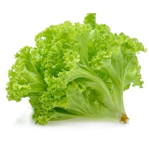 Lettuce Curly Green Approx. 250gm