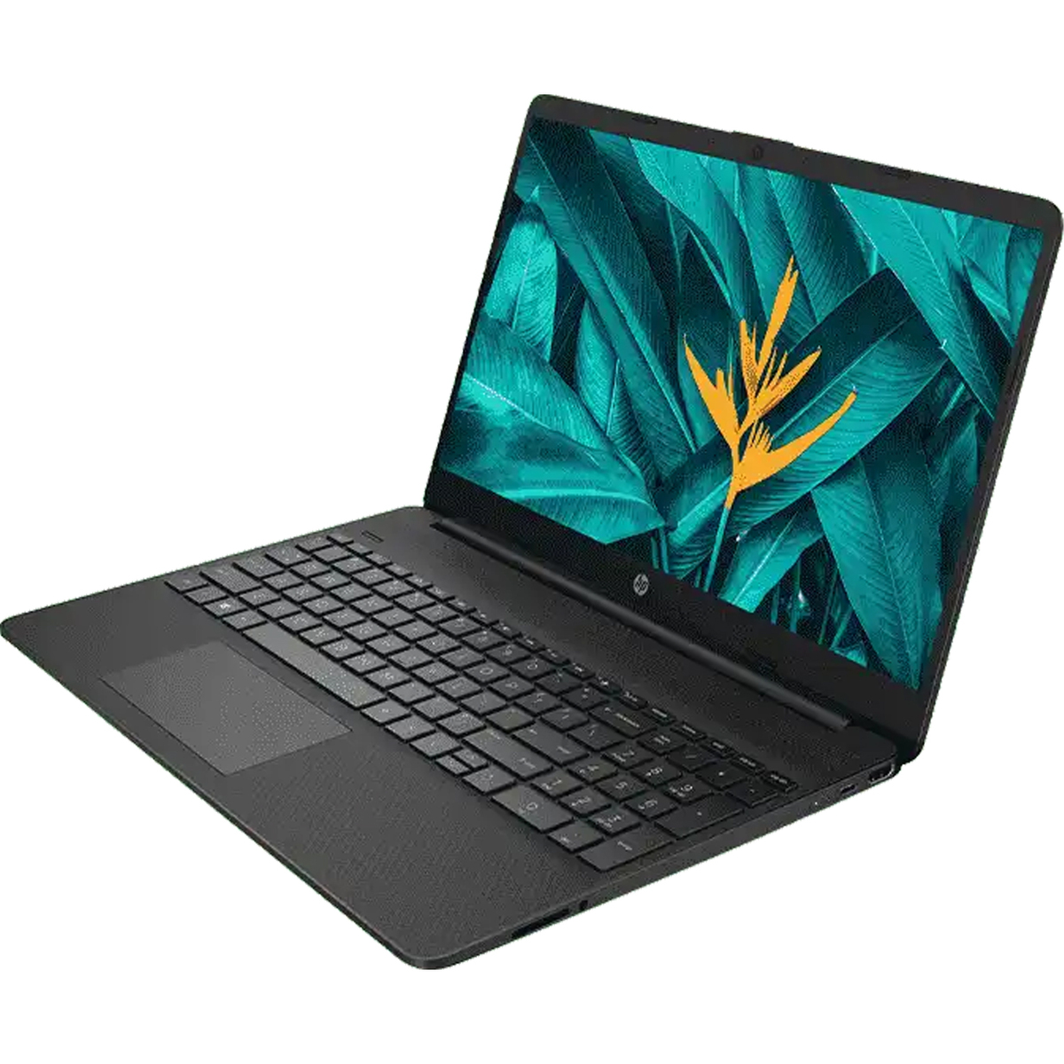 HP Notebook FQ4022TU Core i5 11th Gen 15.6" Win 11+MSO Jet black