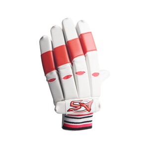Modern Batting Gloves Ase Sheet