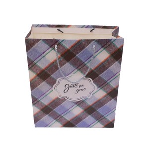Party Fusion  Party Gift Bag 26x32cm 624