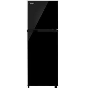Toshiba Double Door Refrigerator RT302WE 252L