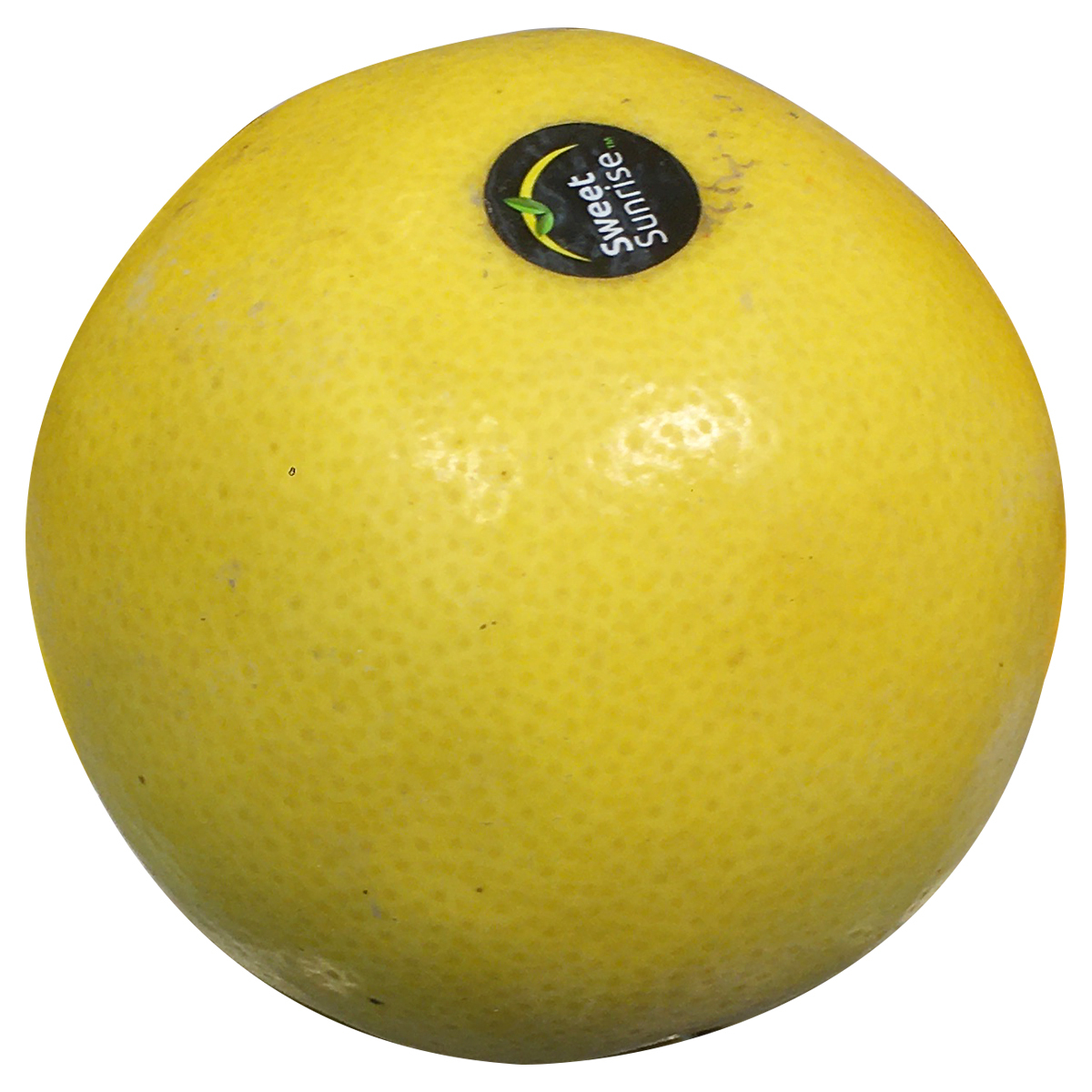 Jackson Fruit Imported 900 gm - 1 kg