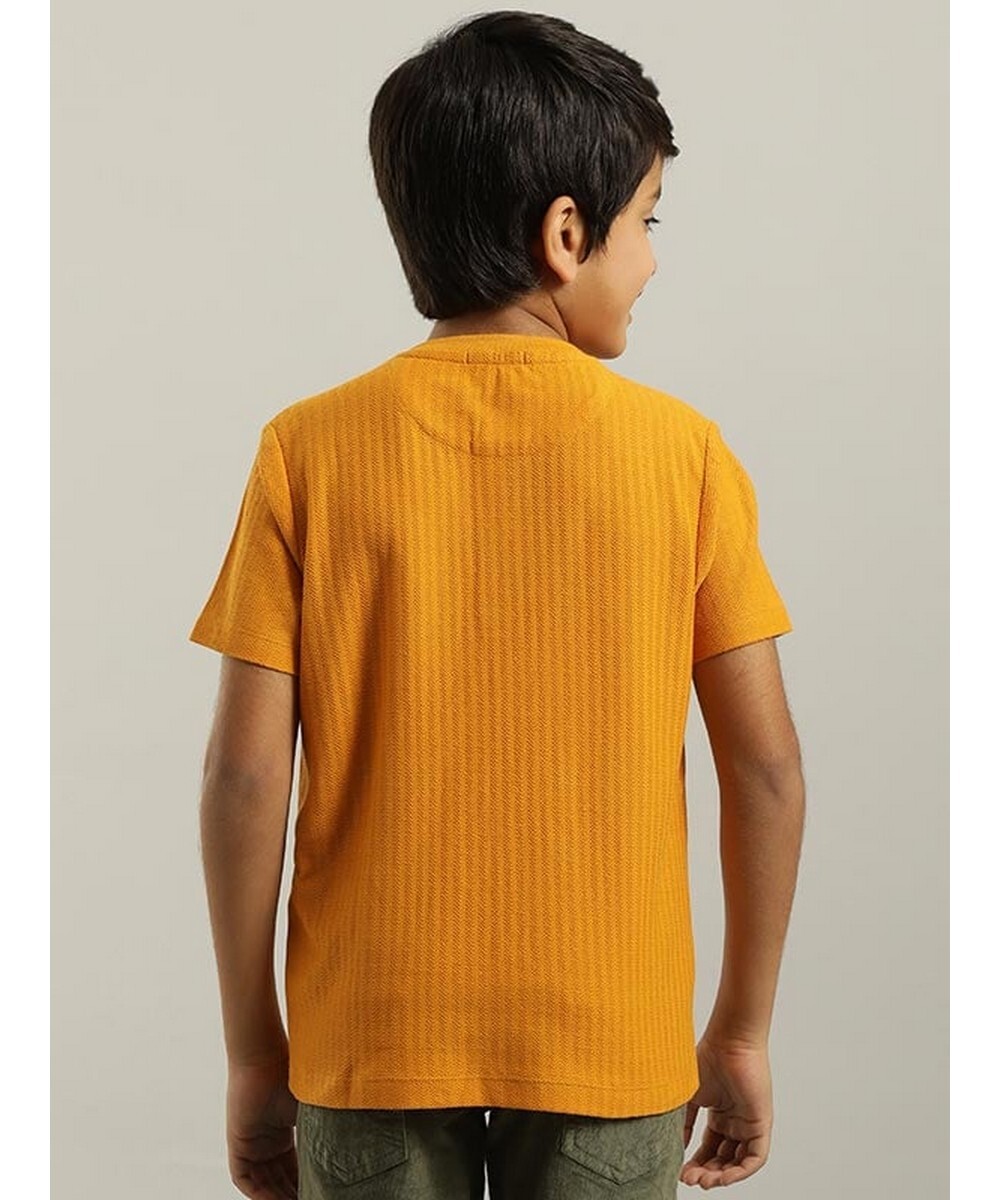 Indian Terrain Boys Regular Fit  Amber Solid T-shirt