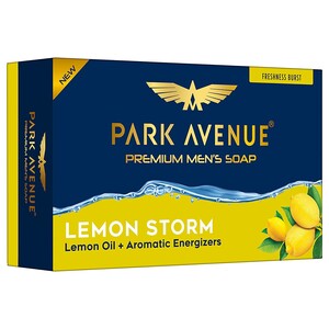 Park Avenue Soap Storm Fragrant 125g