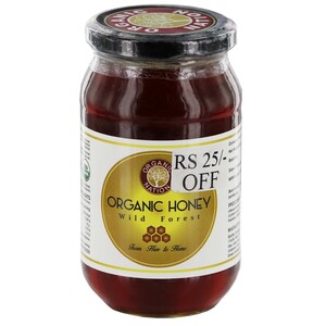 Organic Nation Honey Wild Forest 500g