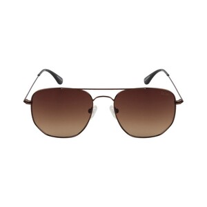 Lee Cooper Male Black Frame With Brown Lens Sunglass