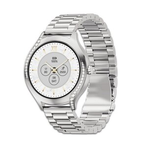 Pebble Smart Watch Ritz SS Silver