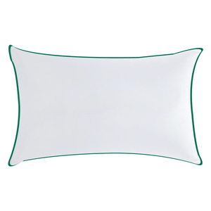 Home Well Premium Soft Pillow