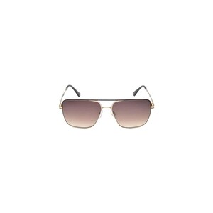 Scott Male Gold With Brown Lens Sunglass
