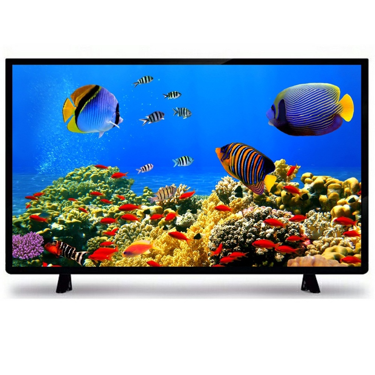 Impex HD LED TV Gloria 32"