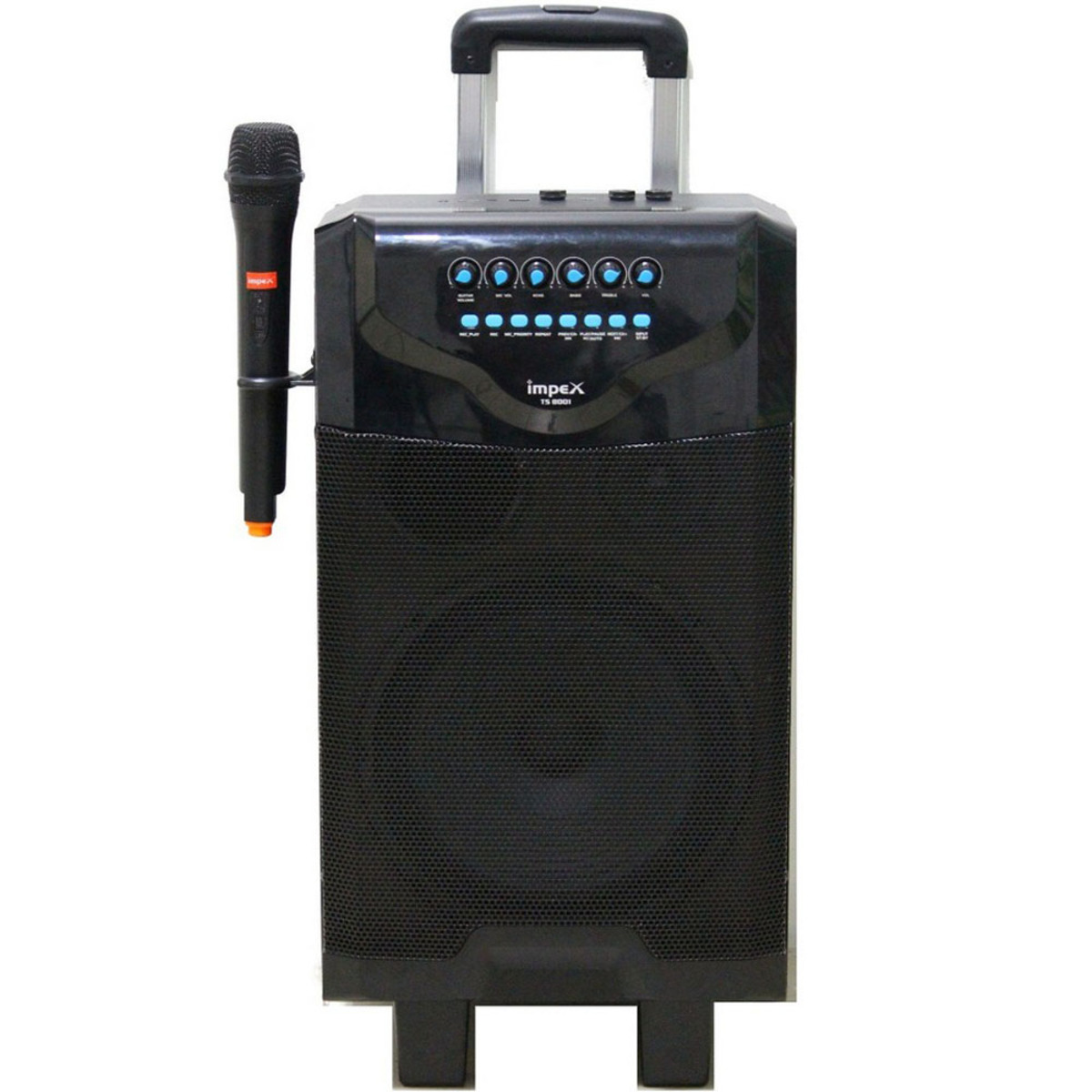 Impex Multimedia Trolley Speaker TS8001