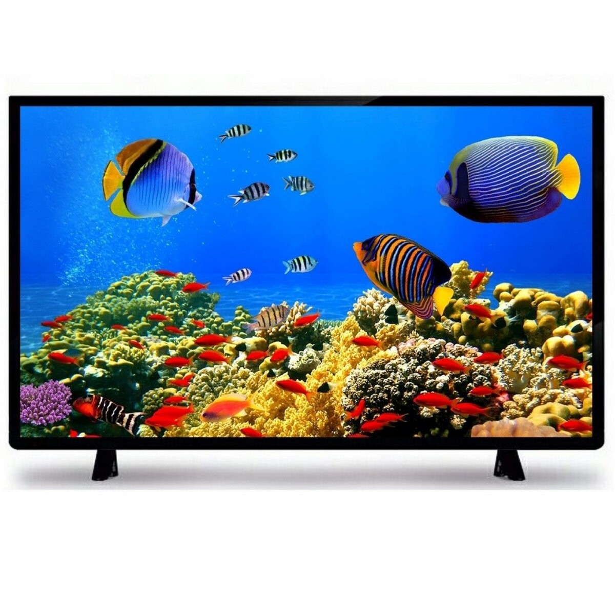 Impex Full HD LED TV Gloria 43"