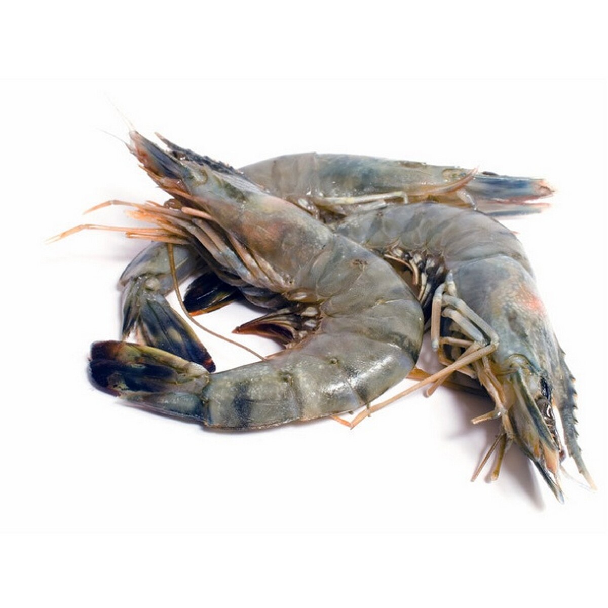 Prawns Large Fish (Approx.450g to 500g)