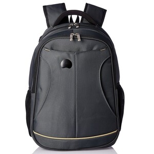 Delsey Laptop Backpack Lyon 2CPT Grey