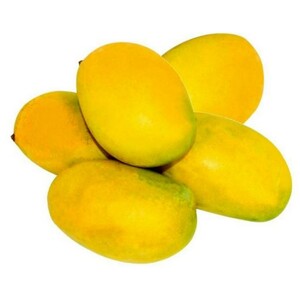 Mango Nadasala  1kg  to 1.1 kg