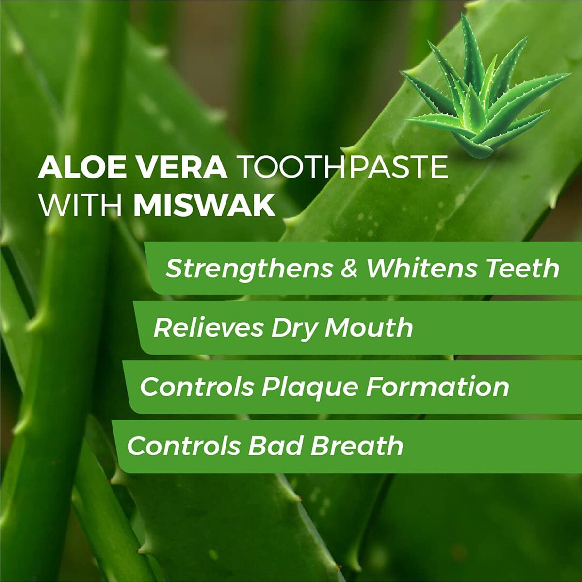 KPN Toothpaste Aloevera Herbal Toothpaste 100g