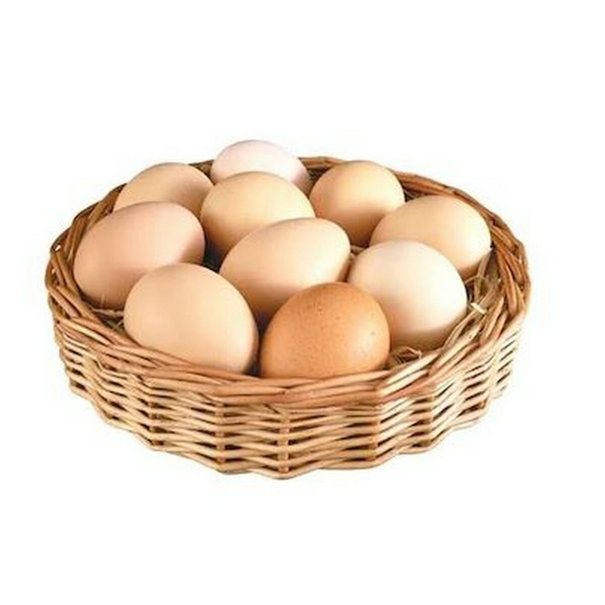 Best Brown Egg 12's
