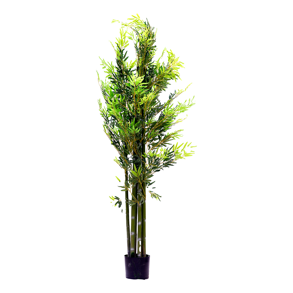 Home Style Plant 296-4